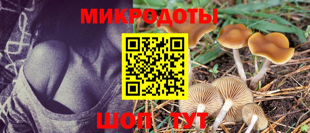 Псилоцибиновые грибы Psilocybe Подольск