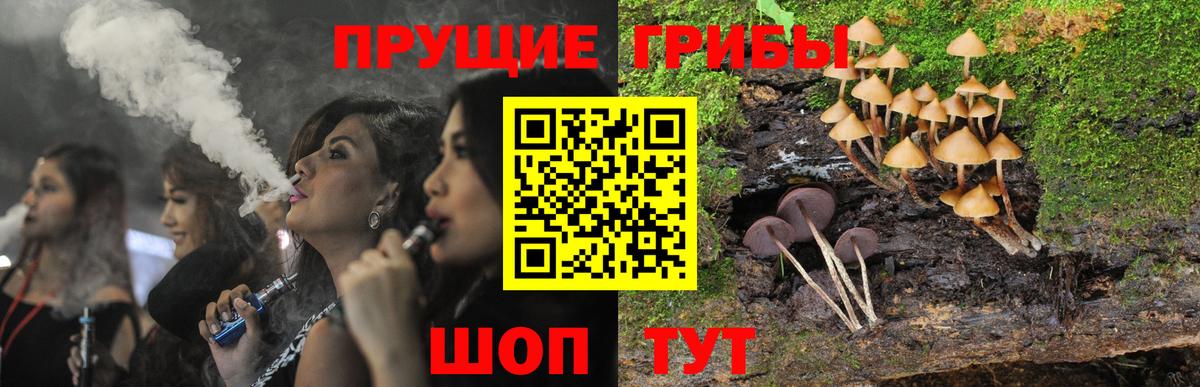 Псилоцибиновые грибы ЛСД  Псилоцибиновые грибы Cubensis  Подольск  Вход с VPN 
